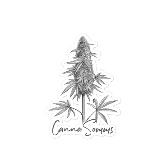 CannaSomms x Psilo-Co. Harvest Season